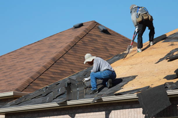 Best Roof Ventilation Installation  in Pagedale, MO
